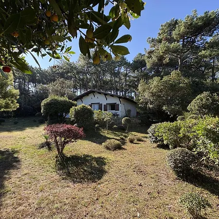 Au Calme Avec Grand Jardin, Proche Commerces - Fr-1-736-67 Βίλα
