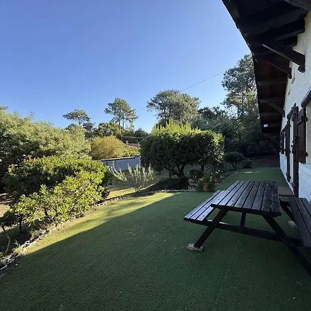 Villa Au Calme Avec Grand Jardin, Proche Commerces - Fr-1-736-67 *