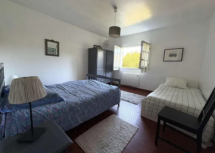 Villa Au Calme Avec Grand Jardin, Proche Commerces - Fr-1-736-67